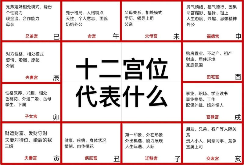 小白如何快速入门紫微斗数？-术学街