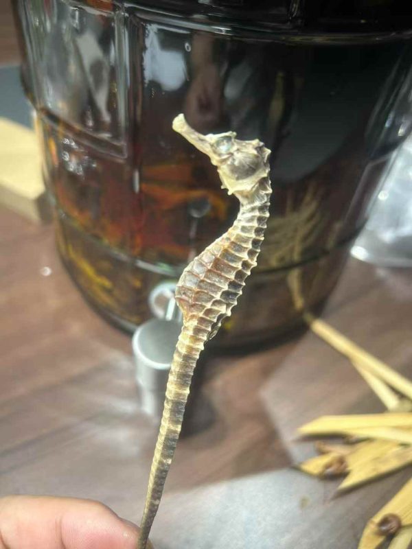 告一段落 够用两年了-术学街